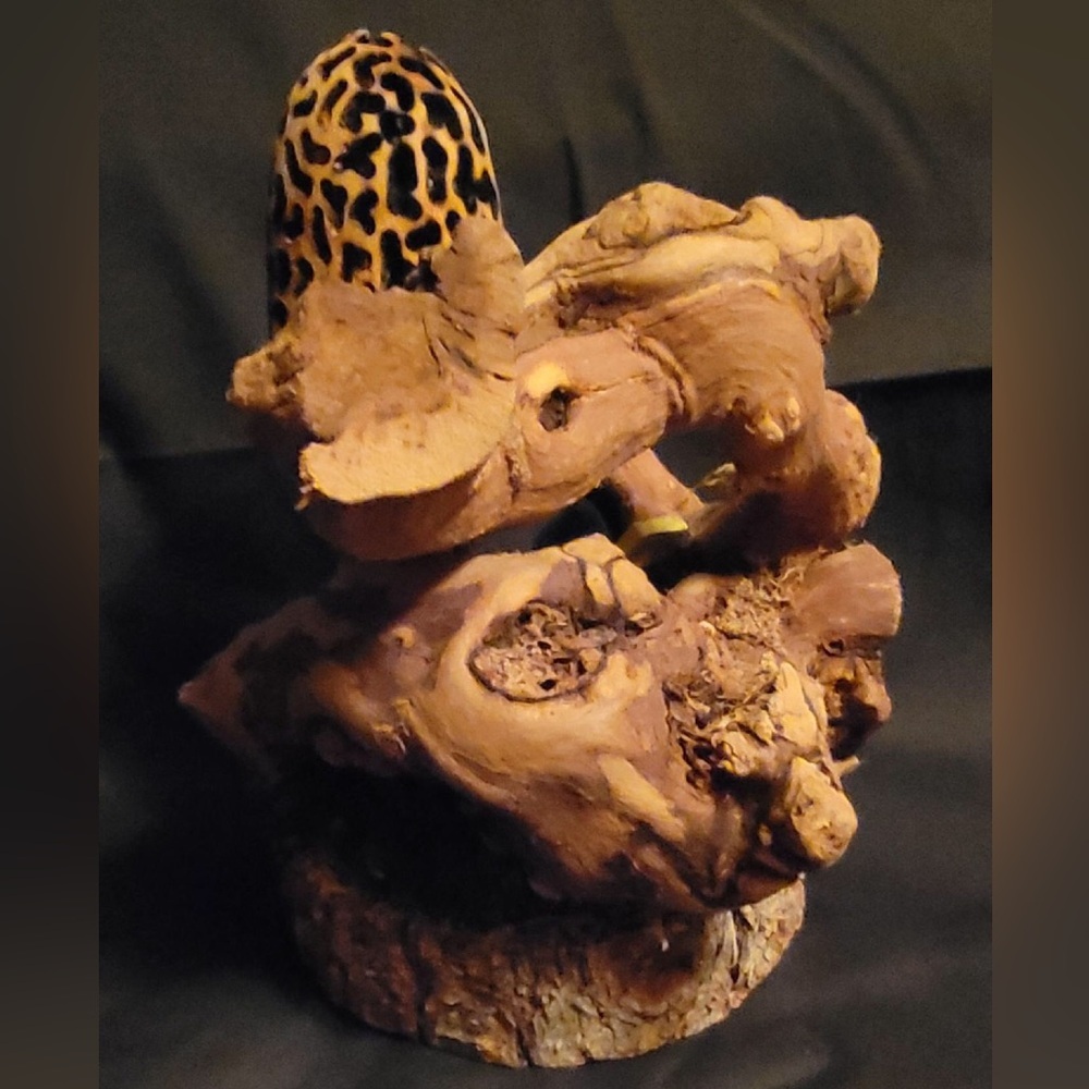 Whimsical Morel Mushroom & Gnome Wood Burned Sculpture - Picture 2 of 2